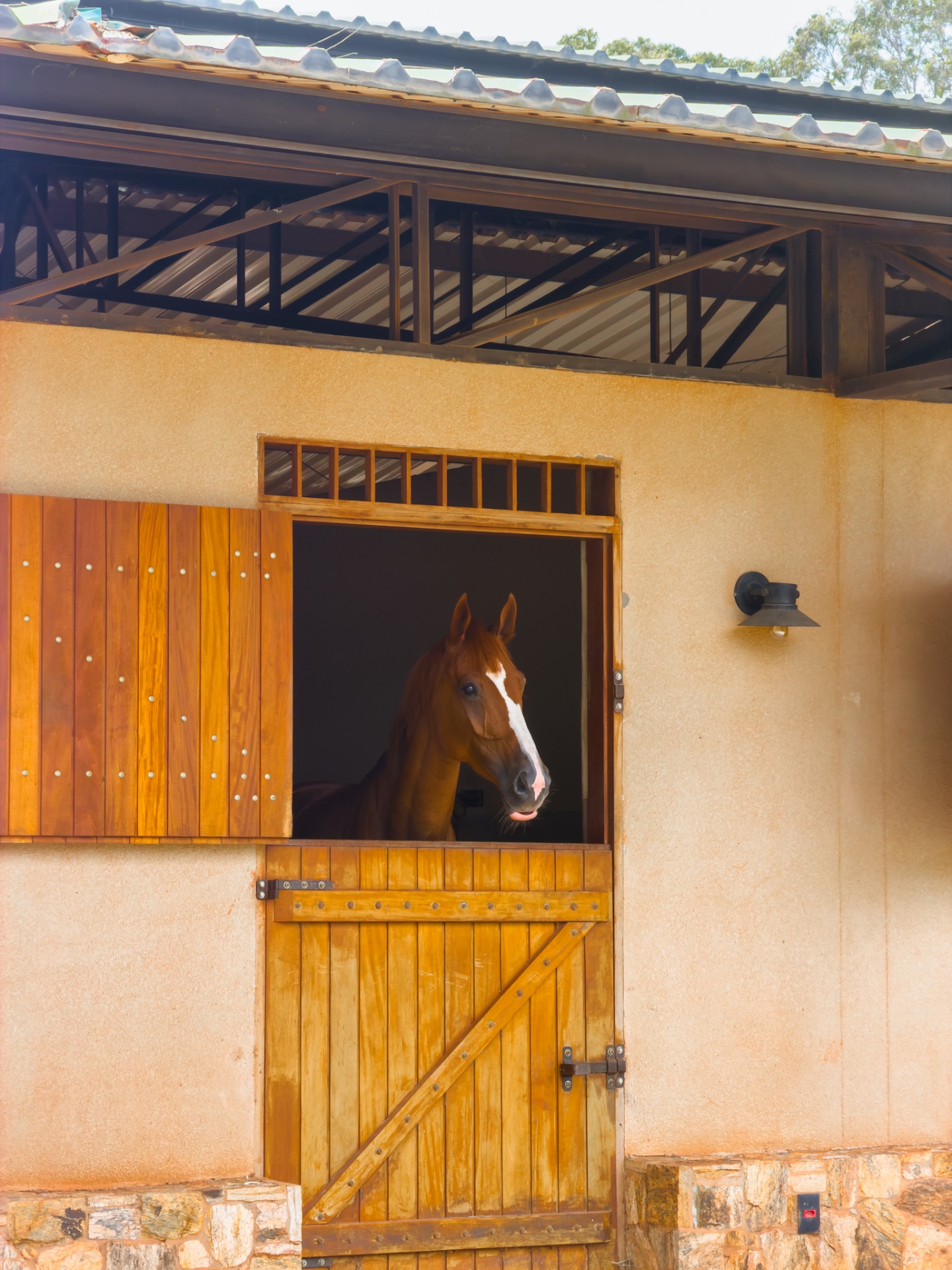 Cavalo na cocheira